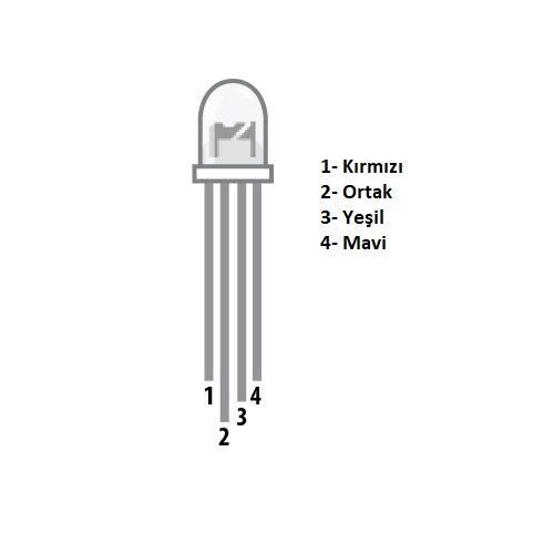 5MM_RGB_LED_ORTAK_KATOT_-_4_PIN2_1823.jpg